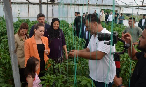 ÜRETİCİLERİN SERASI ARTIK TELEFONDA