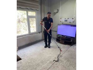 DEFNE’DE EVE GİREN YILANI İTFAİYE YAKALADI