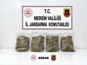 UYUŞTURUCU TACİRİ 2 KİLO 100 GRAM ESRARLA YAKALANDI