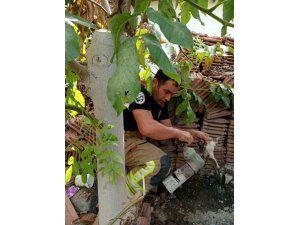 VANAYA SIKIŞARAK MAHSUR KALAN YAVRU KEDİ, İTFAİYE EKİPLERİNİN ÇALIŞMASIYLA KURTARILDI
