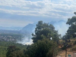 ANTALYA’DA ORMAN YANGINI