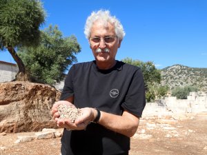 ANTİK DÜNYADA GÜCÜN VE STATÜNÜN SİMGESİ MOR