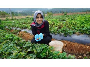 KADINLARIN EMEĞİ KAHRAMAN KADIN PLATFORMU’YLA GENİŞ KİTLELERE ULAŞIYOR