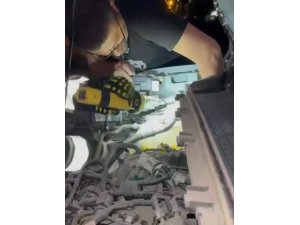 ARSUZ’DA ARACIN MOTORUNA SIKIŞAN KEDİ KURTARILDI
