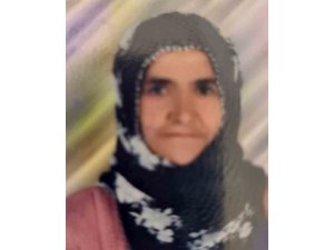 TARSUS’TA OTOMOBİLİN ÇARPTIĞI YAŞLI KADIN HAYATINI KAYBETTİ