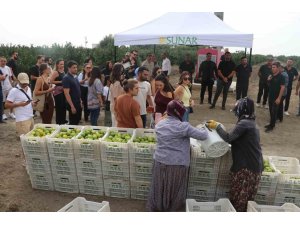 SUNAR YATIRIM’DAN LEZZET FESTİVALİ KAPSAMINDA HASAT ETKİNLİĞİ