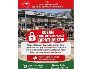 KOZAN CANLI HAYVAN PAZARI ŞAP HASTALIĞI NEDENİYLE KAPATILDI
