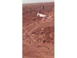 ÇAMURA SAPLANAN EŞEĞİ İTFAİYE EKİPLERİ KURTARDI