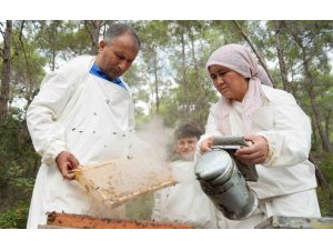 DÜNYADA ’ÇAM BALI’NIN YÜZDE 90’I TÜRKİYE’DE  ÜRETİLİYOR: BEREKETLİ SAĞIM BAŞLADI