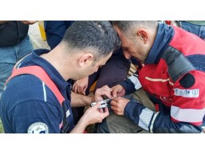 İSKENDERUN’DA AĞACA TAKILAN GÜVERCİN İTFAİYE EKİPLERİNCE KURTARILDI