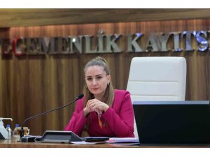 BAŞKAN VEKİLİ ÖZDEMİR: "ALTINTAŞ ÇANAĞINDA BİRİKEN SUYU DENİZE ULAŞTIRMAK İSTİYORUZ"
