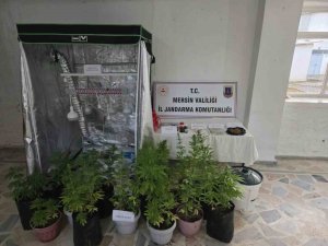 EVDE ÖZEL BÖLME ÇIKTI: UYUŞTURUCU ÜRETEN ŞÜPHELİLER YAKALANDI