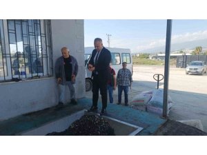 HATAY’DA KALİTELİ ZEYTİNYAĞI ÜRETİMİ İÇİN HASAT UYARISI