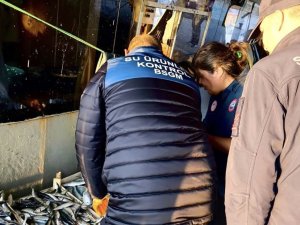 MERSİN’DE YASA DIŞI BALIK AVCILIĞINA KARŞI DENETİMLER SÜRÜYOR