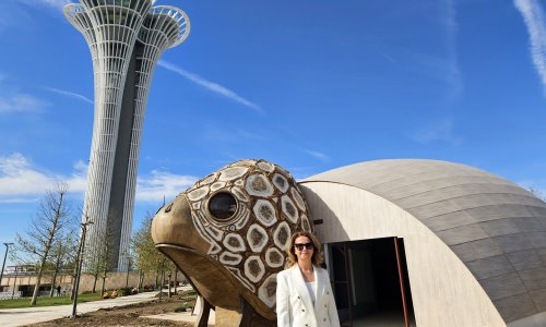 COP31'İN MASKOTU 'CARETTA CARETTA' İÇİN PAVİLYON HAZIRLANDI