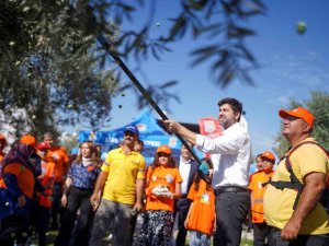 TARSUS’TA ZEYTİNLER LÖSEMİLİ ÇOCUKLAR İÇİN TOPLANDI