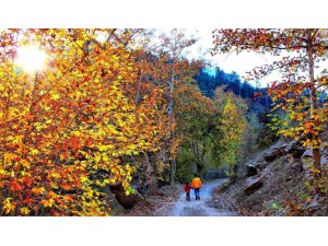 KAHRAMANMARAŞ’TA SONBAHAR RENKLERİ: GÖKSUN MANZARASIYLA BÜYÜLÜYOR