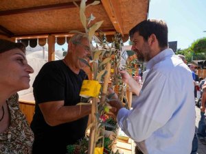 3. ULUSLARARASI TARSUS SARIULAK ZEYTİN FESTİVALİ ÜRETİM VE DAYANIŞMAYI BULUŞTURDU