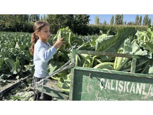 BURDUR’DA 9 YAŞINDAKİ MEDİNE’NİN BİR ELİ TARLADA, AKLI İSE GELECEĞİNDE