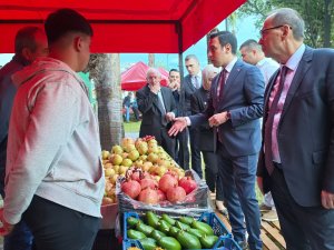 16'INCI GAZİPAŞA ÇEKİRDEKSİZNAR VE TROPİKAL MEYVE FESTİVALİ BAŞLADI
