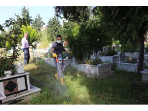 Alanya'da mezarlıklara bahar bakımı