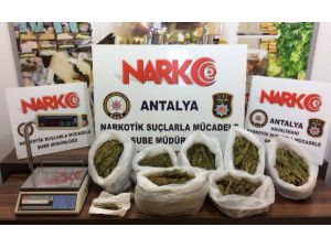 Antalya'da zehir satıcılarına darbe