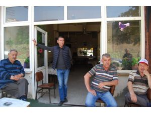 Malkara’da Güvercin Sevenler Derneği Genel Kurulu yapılacak
