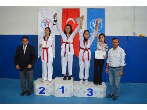 Osmaniyeli  Taekwondocular Türkiye finalinde