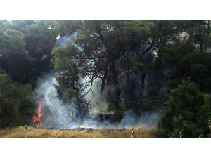 Antalya'da orman yangını (1)