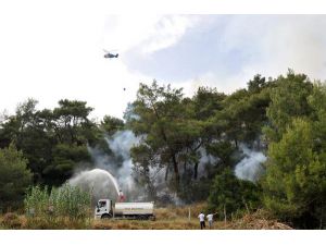 Aksu'da 2 hektar orman alanı yandı (2) - Yeniden