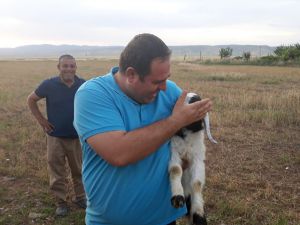 Nusaybin’de kuyuya düşen kuzuyu itfaiye kurtardı