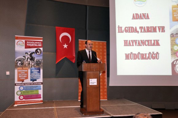 Adana’da buzağı ölümlerine karşı aşılama kampanyası