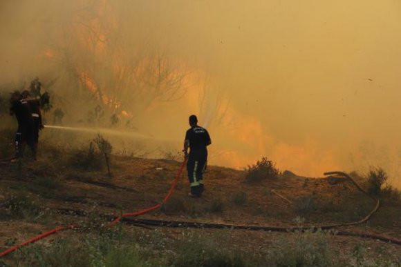 Antalya Aksu'da orman yangını (3)