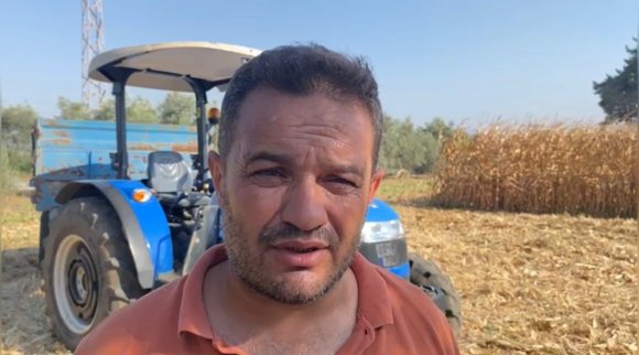 OSMANİYE’DE KURAKLIK, MISIRDA VERİMİ DÜŞÜRDÜ