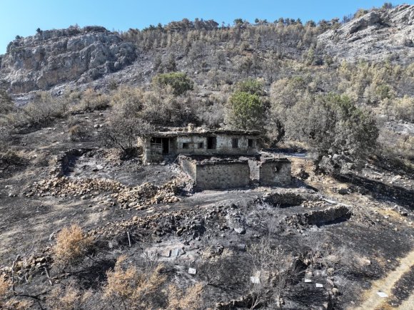 ORMAN YANGININDAN GERİYE KALAN ACI MANZARA: 15 BİN DÖNÜMDEN FAZLA ALAN KÜLE DÖNDÜ