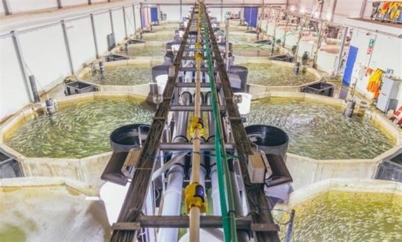 TARIMA DAYALI İHTİSAS SU ÜRÜNLERİ ORGANİZE SANAYİ BÖLGESİNDE ÖN TALEP SÜRECİ BAŞLADI