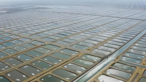TARIMA DAYALI İHTİSAS SU ÜRÜNLERİ ORGANİZE SANAYİ BÖLGESİNDE ÖN TALEP SÜRECİ BAŞLADI