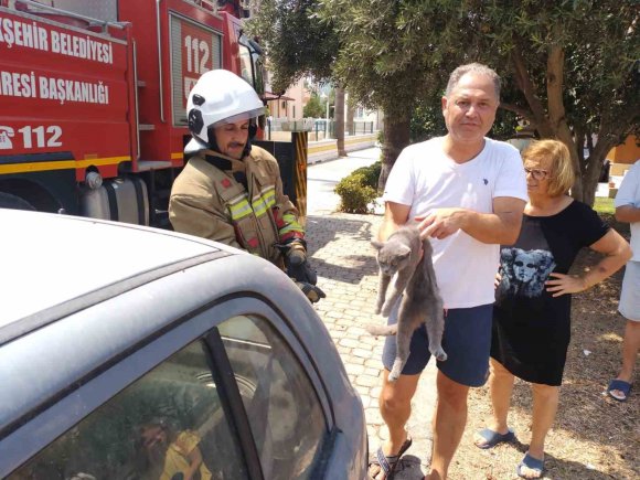 HATAY’DA PALMİYEDE MAHSUR KALAN KEDİ EKİPLER TARAFINDAN KURTARILDI