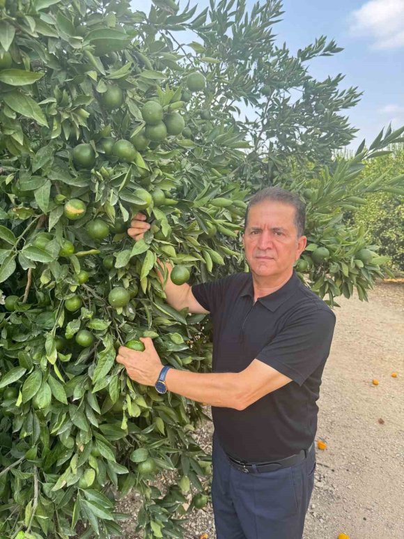 DOĞAN "TURUNÇGİL KESİM VE İHRAÇ TARİHLERİNDE SAHADAKİ GERÇEK ÜRETİM ŞARTLARI DİKKATE ALINMALIDIR’’