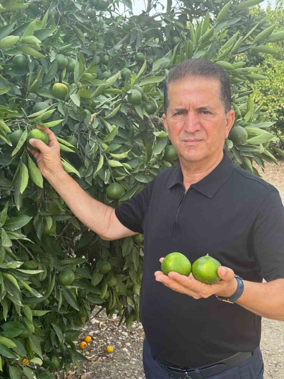 DOĞAN "TURUNÇGİL KESİM VE İHRAÇ TARİHLERİNDE SAHADAKİ GERÇEK ÜRETİM ŞARTLARI DİKKATE ALINMALIDIR’’