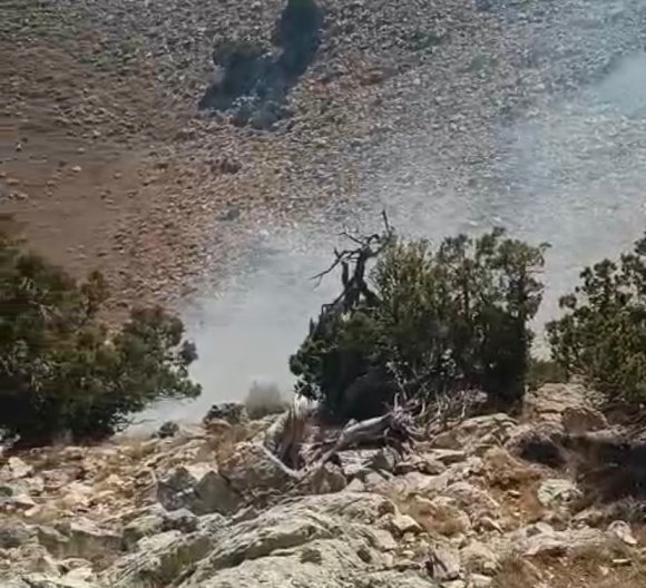 BURDUR’DA ÇALILIK ALANDA YANGIN