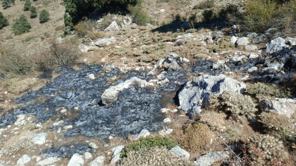 BURDUR’DA ÇALILIK ALANDA YANGIN
