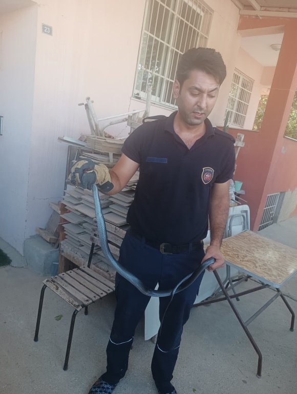 HATAY’DA EVE GİREN YILANLARI İTFAİYE YAKALADI