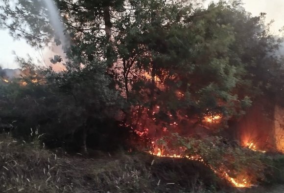 DÖRTYOL’DA ORMAN YANGINI BÜYÜMEDEN SÖNDÜRÜLDÜ