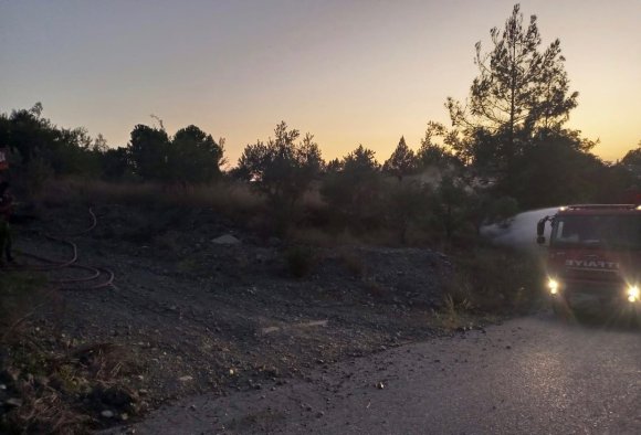 DÖRTYOL’DA ORMAN YANGINI BÜYÜMEDEN SÖNDÜRÜLDÜ