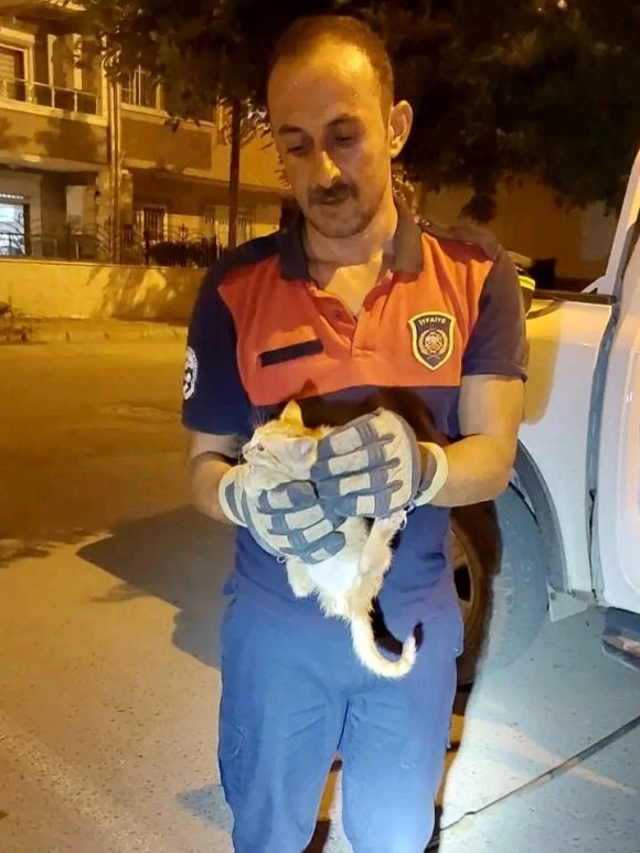 ARACIN MOTOR KISMINA GİREN YAVRU KEDİYİ İTFAİYE EKİPLERİ KURTARDI