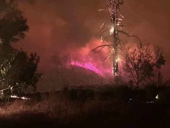 ALANYA BELEDİYE BAŞKANI ÖZÇELİK YANGIN BÖLGESİNDE