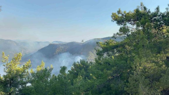 ALANYA’DA 3 MAHALLEDEKİ ORMAN YANGINI KONTROL ALTINDA: 400 HEKTAR ALAN ZARAR GÖRDÜ