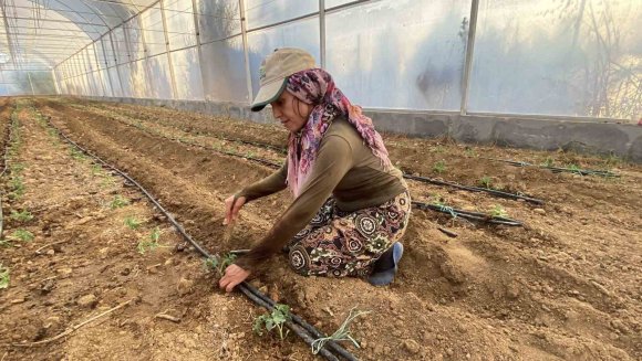 ANTALYA’DA GÜZLÜK FİDE DİKİMLERİ BAŞLADI