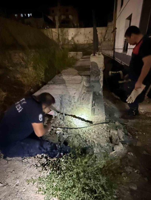 ANTAKYA’DA BETON BORU İÇİNDE SIKIŞAN KEDİ KURTARILDI